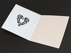 Darstellung des Lasercuts - Detail 2